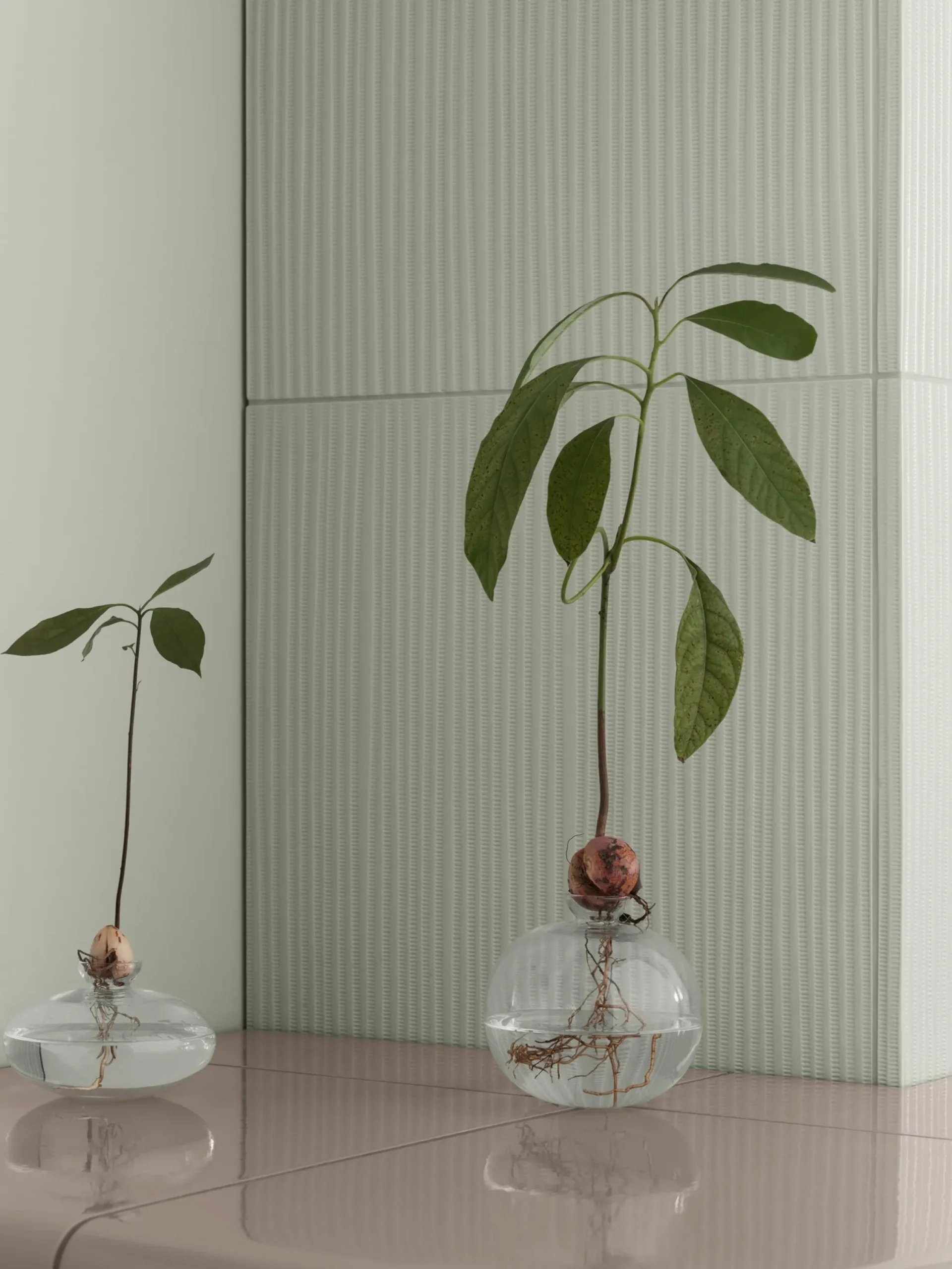 Vase -AVO- Farbe Klar Size S